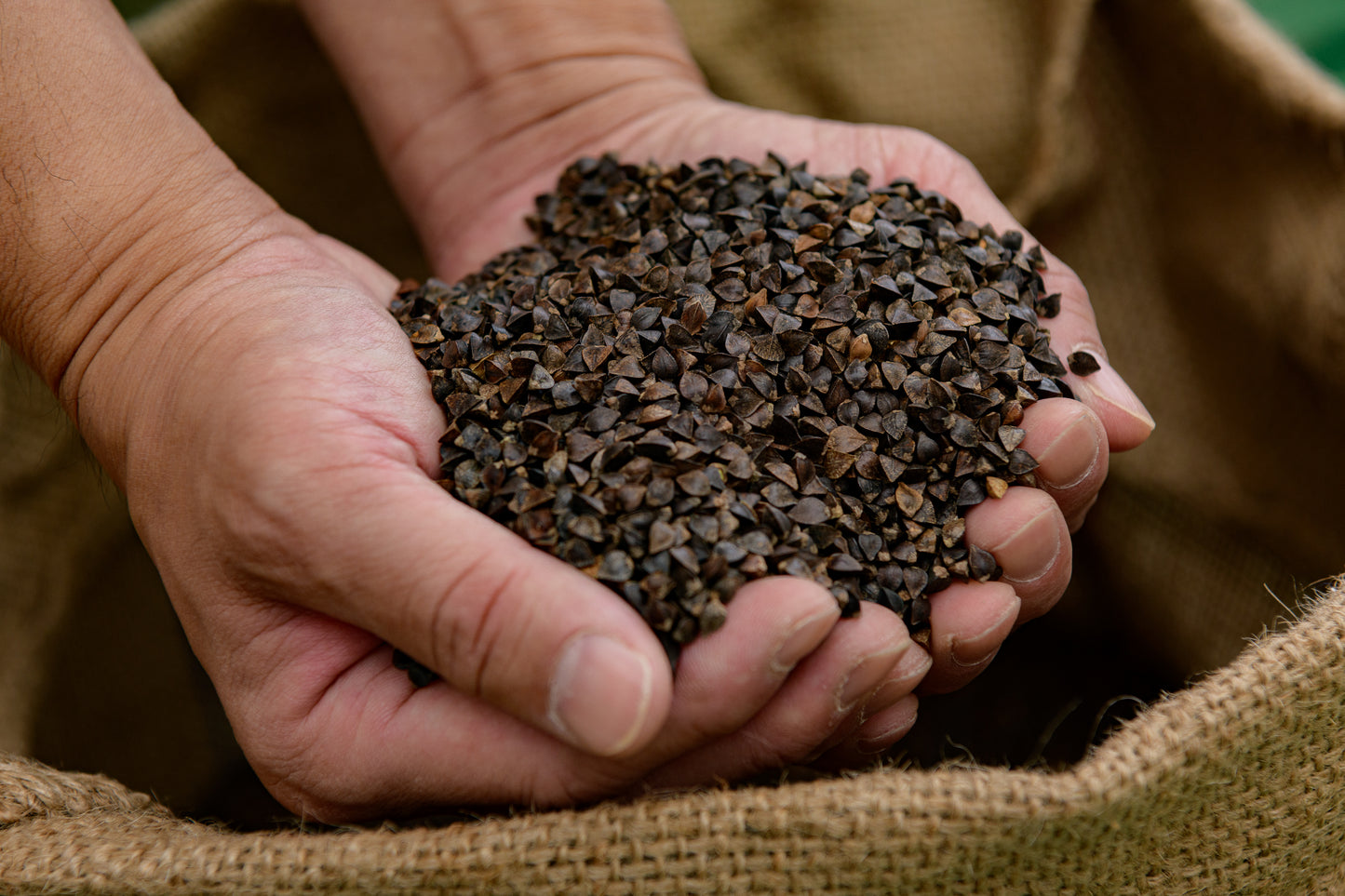 【DMの届いたお客様限定】春そば食べ比べセット ( 2セット以上で送料当社負担。1セットの場合、送料385円）