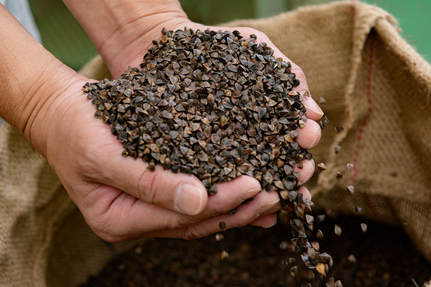 春そば2種食べ比べセット（新聞広告限定　2セット以上で送料当社負担。1セットの場合、送料385円）