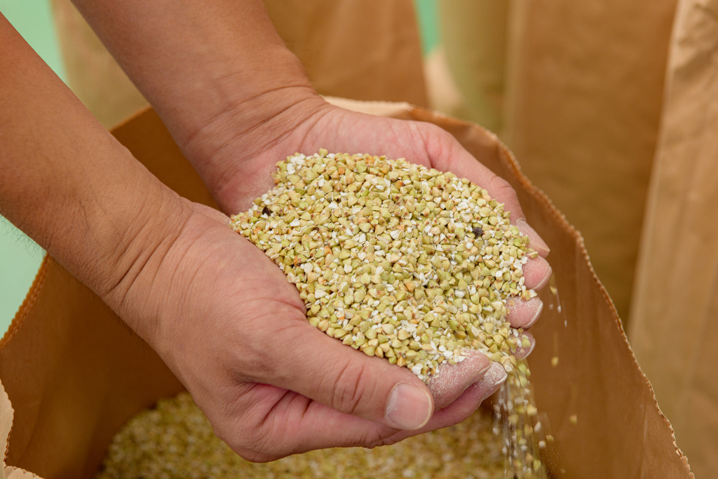 春そば2種食べ比べセット（新聞広告限定　2セット以上で送料当社負担。1セットの場合、送料385円）